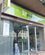 Ribercasa Servicios Inmobiliarios imagen 2