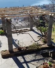 BaumGärtner - Giardini Bild 7