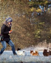 Hundeschule Gotha Bild 2
