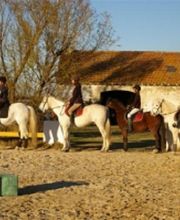Ecole d'Equitation Du Bélice image 9