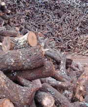 Leñas Julio imagen 9