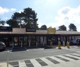 Shell image 2