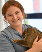 Tierarztpraxis Oppenheim Bild 10