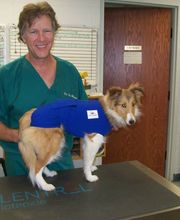 Pinetree Animal Hospital image 8