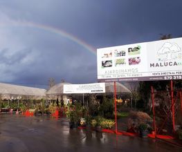 Viveros_Maluca_Garden_Badajoz.JPG