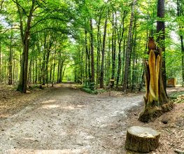 FriedWald Cloppenburg Bild 14