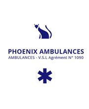 Phoenix Ambulance image 1