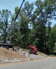 Life's Tree Doctor, LLC image 2