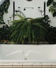 Vegetal Trend Sàrl Bild 14