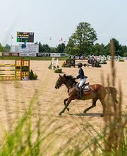 Silver Oak Jumper Tournament image 2