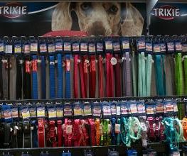 Habekost Heimtiermarkt Bild 18