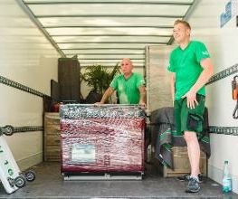 Seffner Umzüge Wismar Bild 13