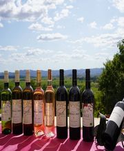 Domaine Virgile Joly image 1