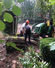 Arborescence image 1