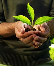 AOK Rheinland-Pfalz/Saarland Bild 3