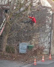 Blumen & Gärten Schalch AG Bild 2