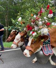 Articuir Sàrl Bild 3