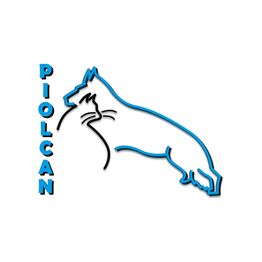 Piolcan Adiestramiento Canino y centro de formación