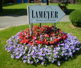Lameyer Blumen und Pflanzen Bild 3