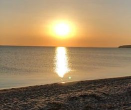 Super Hundeurlaub Bild 8