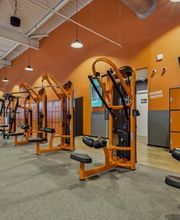 Basic-Fit 24/7 image 4