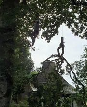 SAM EN CIMES image 15