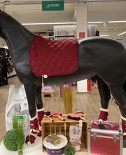 EQUIVA Eislingen Bild 5