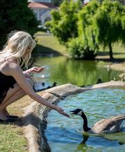 The Crazy Horse image 3