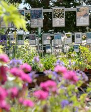 Gartenbauschule Hünibach Bild 4