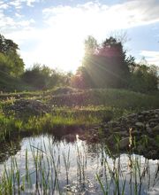 Naturag Gartenbau AG Bild 12