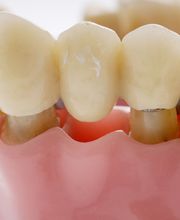 Jacqueline Rodríguez imagen 3