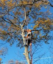 Pyrénées Vertiges image 1