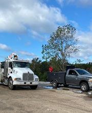 Triple T Tire image 9