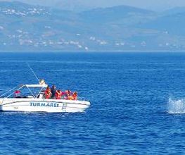 Turmares Tarifa imagen 4