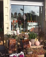 Julias-Blumenwelt Bild 2