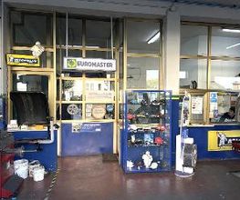 Euromaster Lentisco Gomme immagine 3