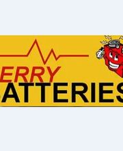 Berry Batteries image 1