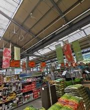 Gartencenter HORNBACH Galgenen Bild 3