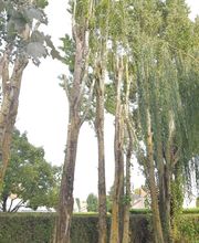 Entreprise Lecoq image 14