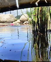 Espace Isaya image 7