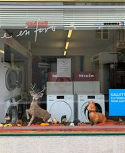 Galletti Electroménager Sàrl Bild 1