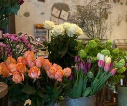 A la Rose d'Estavayer Bild 12