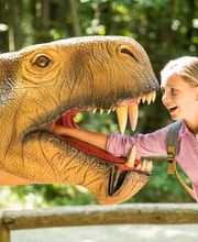 Dinosaurierpark Teufelsschlucht Bild 12