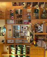 Aesculap-Apotheke Oelsnitz Bild 6