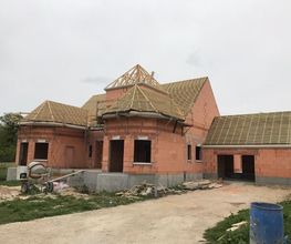 Caruso image 3
