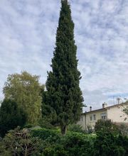 Les Jardins de Fortuné image 1