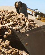 Cartillier Bernard image 2