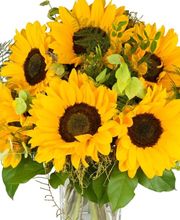 Blumen Schweizer Bild 12