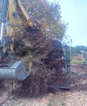 ND Gartenservice & Mehr Bild 4