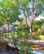 Carlton Senior Living San Leandro image 15